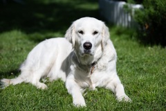 Paivilla_peosaal-terass_25