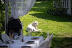 Paivilla_peosaal-terass_31